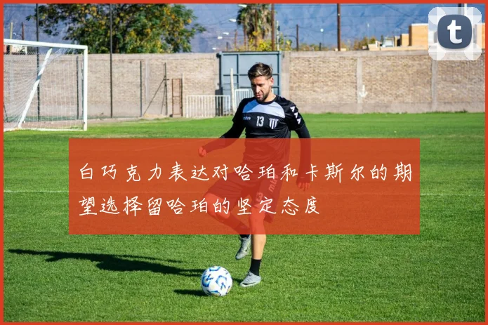 白巧克力表达对哈珀和卡斯尔的期望选择留哈珀的坚定态度